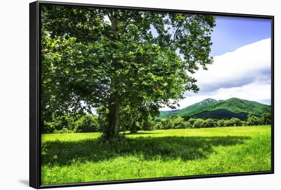 Rappahannock County II-Alan Hausenflock-Framed Photographic Print