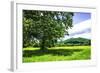 Rappahannock County II-Alan Hausenflock-Framed Photographic Print