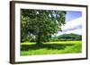 Rappahannock County II-Alan Hausenflock-Framed Photographic Print