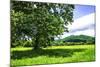 Rappahannock County II-Alan Hausenflock-Mounted Photographic Print