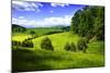 Rappahannock County III-Alan Hausenflock-Mounted Photographic Print