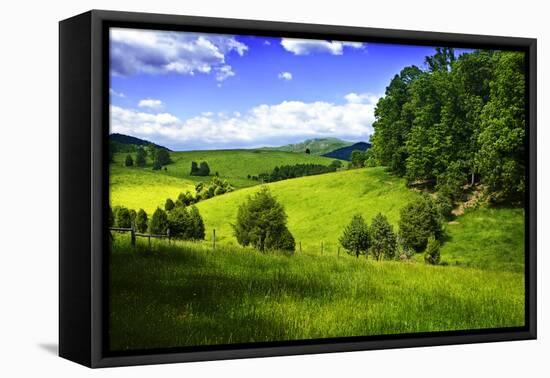 Rappahannock County III-Alan Hausenflock-Framed Stretched Canvas