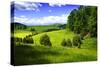 Rappahannock County III-Alan Hausenflock-Stretched Canvas