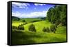 Rappahannock County III-Alan Hausenflock-Framed Stretched Canvas