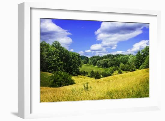 Rappahannock County IV-Alan Hausenflock-Framed Photographic Print