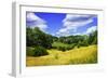 Rappahannock County IV-Alan Hausenflock-Framed Photographic Print