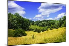 Rappahannock County IV-Alan Hausenflock-Mounted Photographic Print