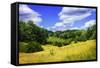 Rappahannock County IV-Alan Hausenflock-Framed Stretched Canvas