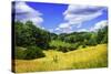 Rappahannock County IV-Alan Hausenflock-Stretched Canvas