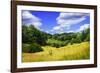 Rappahannock County IV-Alan Hausenflock-Framed Photographic Print