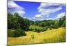 Rappahannock County IV-Alan Hausenflock-Mounted Photographic Print