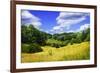 Rappahannock County IV-Alan Hausenflock-Framed Photographic Print