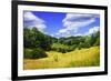 Rappahannock County IV-Alan Hausenflock-Framed Photographic Print