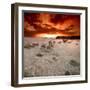 Rapsody in Red-Philippe Sainte-Laudy-Framed Premium Photographic Print