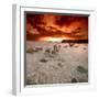 Rapsody in Red-Philippe Sainte-Laudy-Framed Premium Photographic Print