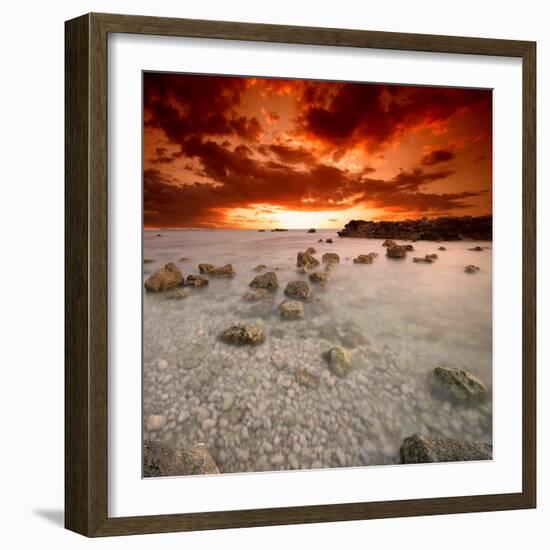 Rapsody in Red-Philippe Sainte-Laudy-Framed Photographic Print