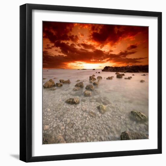 Rapsody in Red-Philippe Sainte-Laudy-Framed Photographic Print