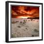 Rapsody in Red-Philippe Sainte-Laudy-Framed Photographic Print