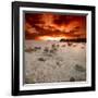 Rapsody in Red-Philippe Sainte-Laudy-Framed Photographic Print