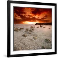 Rapsody in Red-Philippe Sainte-Laudy-Framed Photographic Print