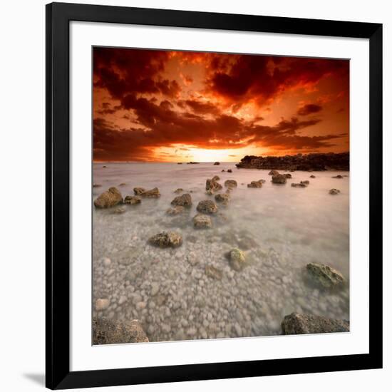 Rapsody in Red-Philippe Sainte-Laudy-Framed Photographic Print