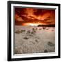 Rapsody in Red-Philippe Sainte-Laudy-Framed Photographic Print