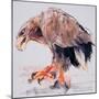 Raptor, 2001-Mark Adlington-Mounted Giclee Print