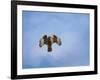 Raptors Warning-Jai Johnson-Framed Giclee Print