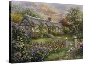 Rapture-Nicky Boehme-Stretched Canvas