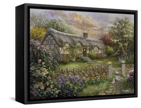 Rapture-Nicky Boehme-Framed Stretched Canvas