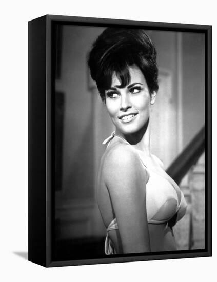 RAQUEL WELCH, 1965 (b/w photo)-null-Framed Stretched Canvas