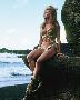 Laminate