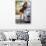 Raquel Welch (photo)-null-Stretched Canvas displayed on a wall