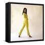 Raquel Welch (photo)-null-Framed Stretched Canvas