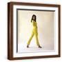 Brown Frame