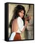 Raquel Welch-null-Framed Stretched Canvas