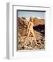 Raquel Welch-null-Framed Photo