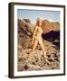 Raquel Welch-null-Framed Photo