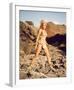 Raquel Welch-null-Framed Photo