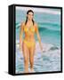 Raquel Welch-null-Framed Stretched Canvas