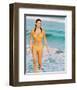 Raquel Welch-null-Framed Photo