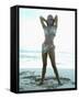 Raquel Welch-null-Framed Stretched Canvas