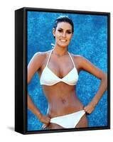 Raquel Welch-null-Framed Stretched Canvas