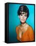 Raquel Welch-null-Framed Stretched Canvas