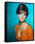 Raquel Welch-null-Framed Stretched Canvas