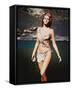 Raquel Welch-null-Framed Stretched Canvas