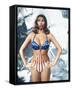 Raquel Welch-null-Framed Stretched Canvas