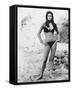 Raquel Welch-null-Framed Stretched Canvas