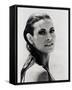 Raquel Welch-null-Framed Stretched Canvas