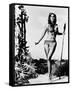 Raquel Welch-null-Framed Stretched Canvas